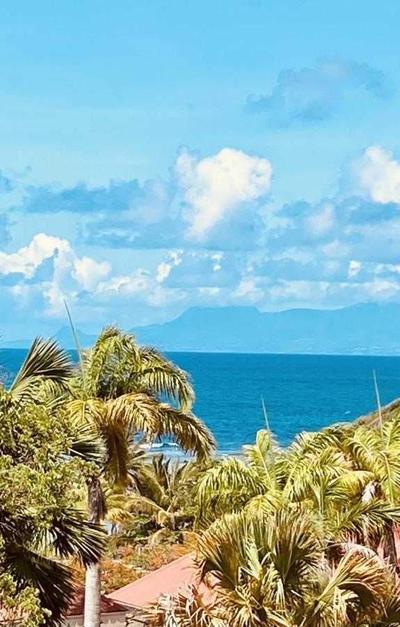 Vue Exclusive Mer Et Volcan, Village Vacances Avec Plage Et Piscine, Les Gwadastudios Sainte-Anne  Εξωτερικό φωτογραφία