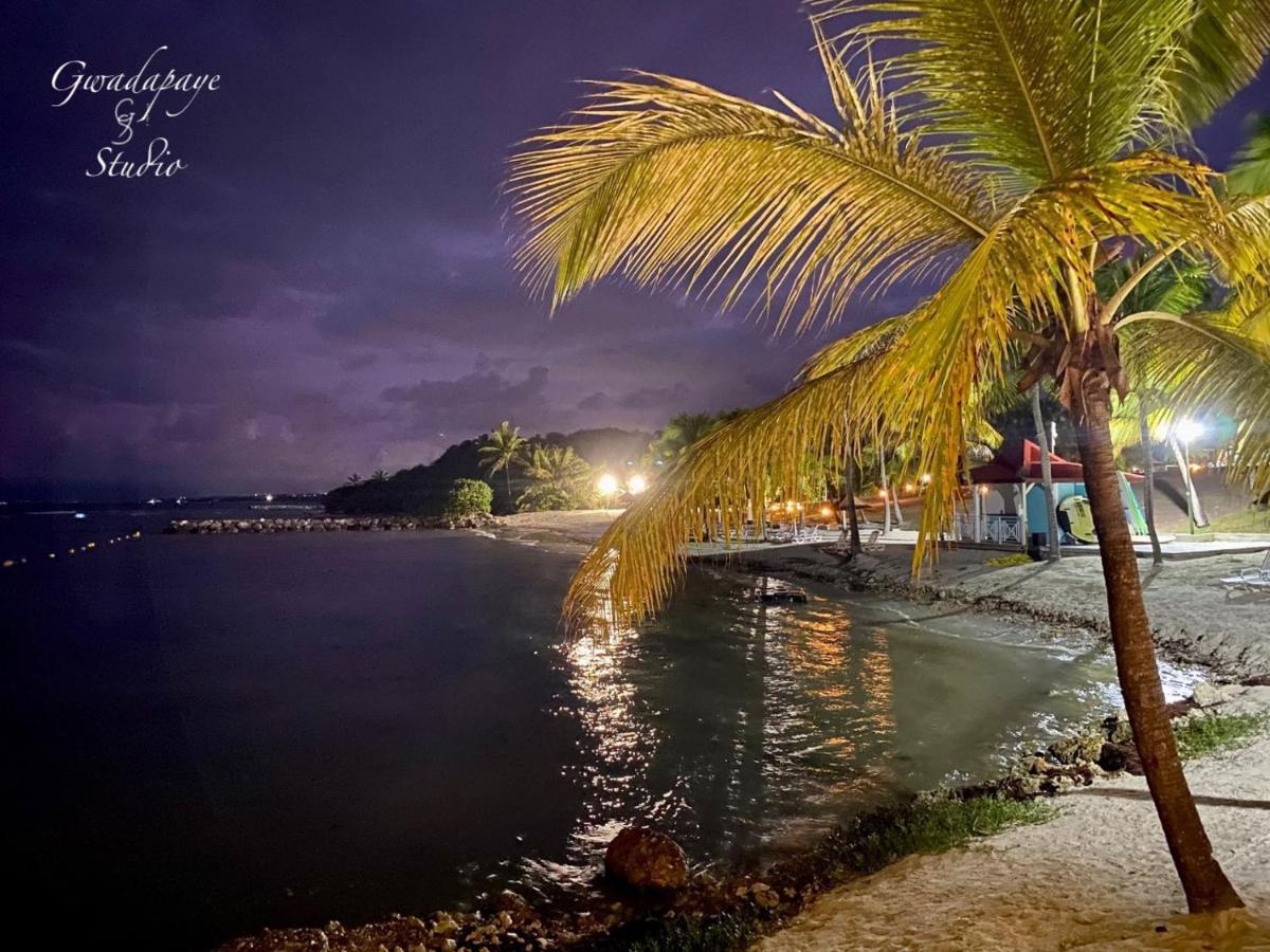 Vue Exclusive Mer Et Volcan, Village Vacances Avec Plage Et Piscine, Les Gwadastudios Sainte-Anne  Εξωτερικό φωτογραφία