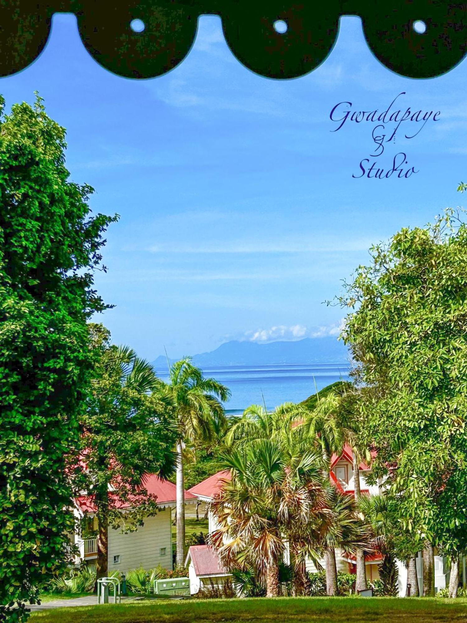 Vue Exclusive Mer Et Volcan, Village Vacances Avec Plage Et Piscine, Les Gwadastudios Sainte-Anne  Εξωτερικό φωτογραφία